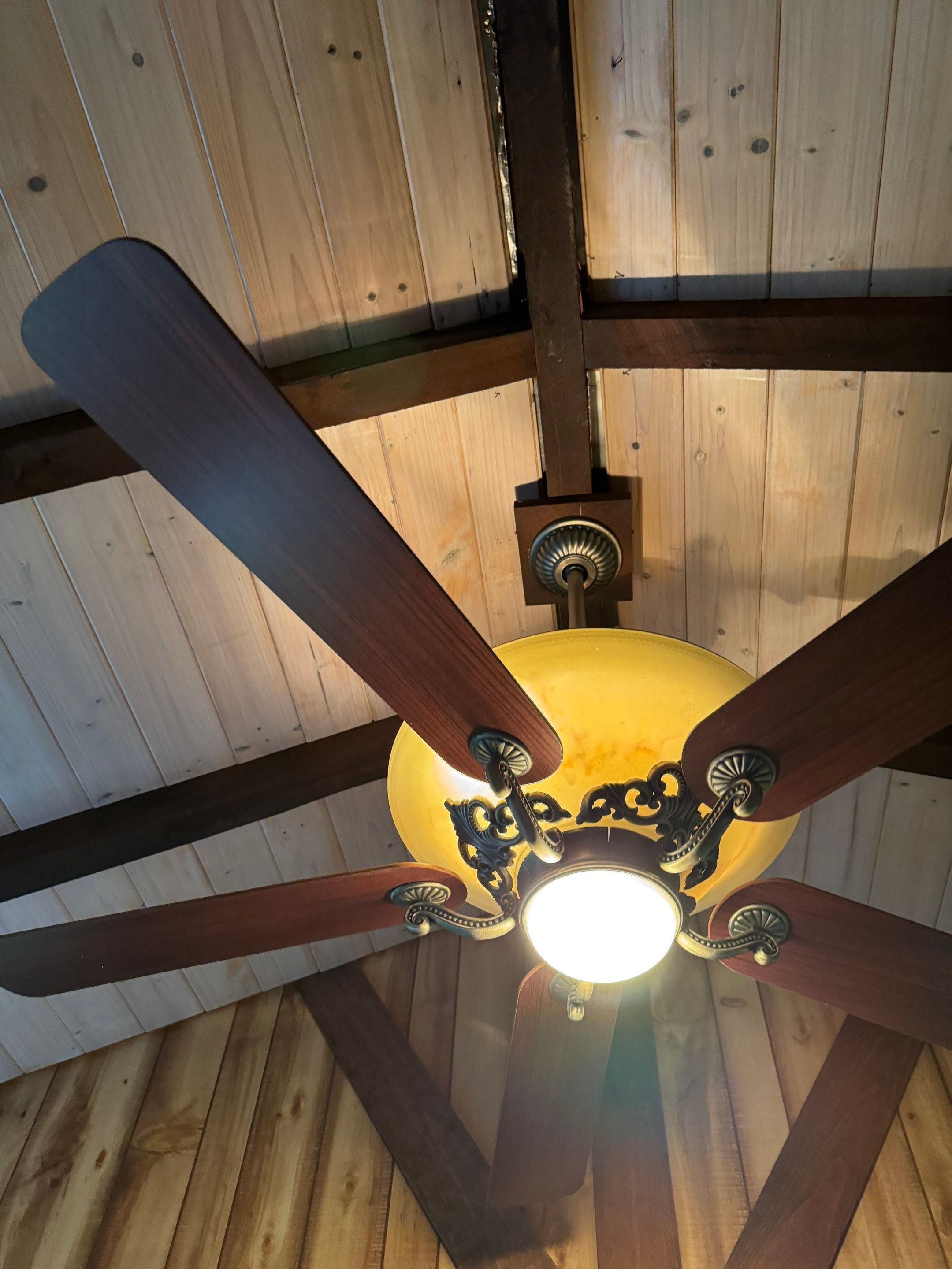 Attic & Sunroom Mold Remediation by Home Guarantee, LLC