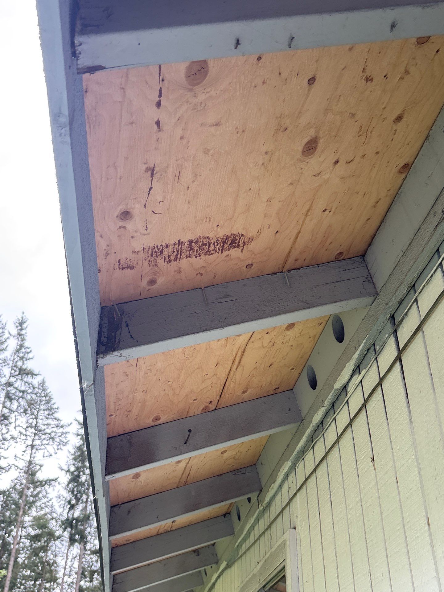 GAF Timberline HDZ, Shakewood by Proline Roofing & Restoration LLC