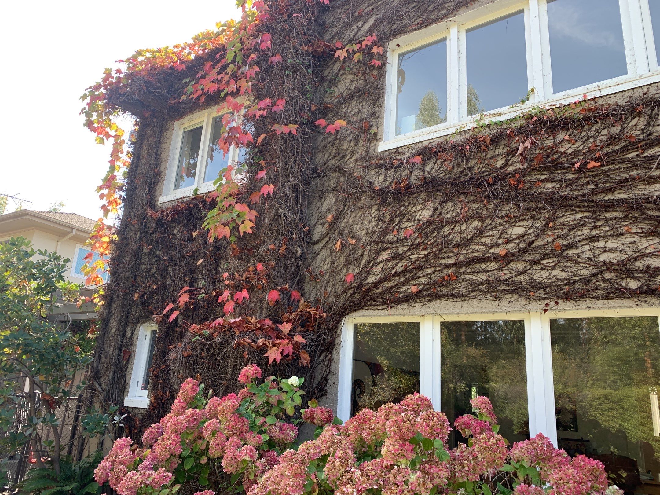 John & Teresa Creighton by SpotFree Window Cleaning