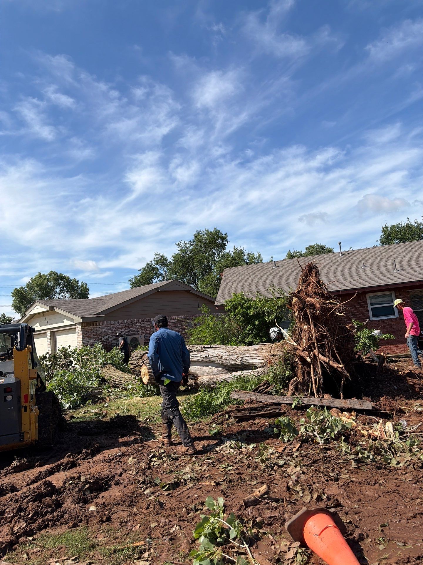 Emergency Tree Removal and Sod Installation Restoration in Lawton by Clays Services Inc