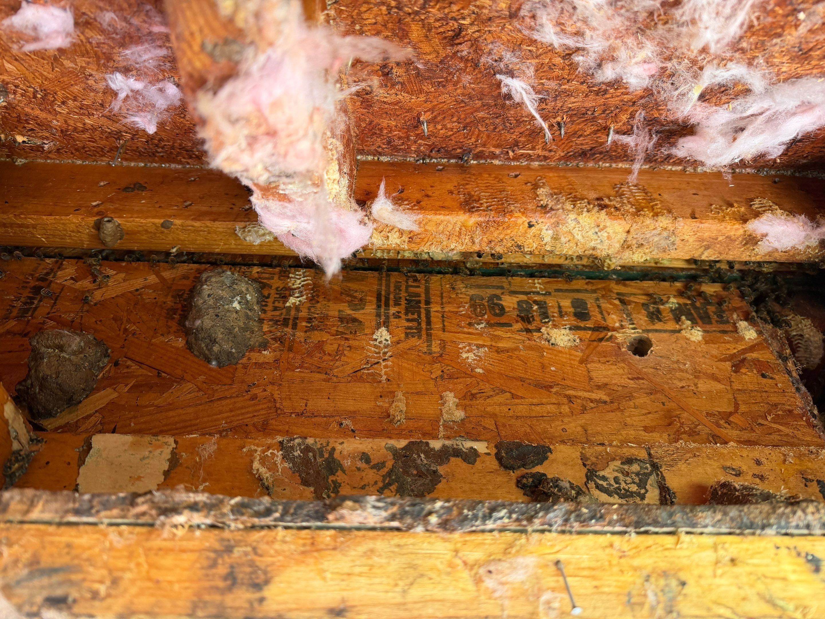 Project in Heath, TX by Rockwall Honey Bee Company