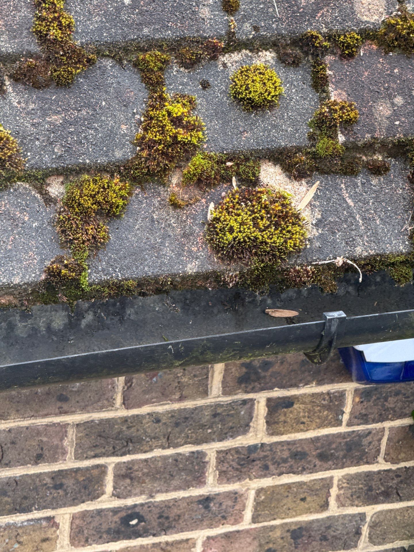Roof Clean  - Moss Removal - Gutter Clean using Honda 15lpm Low Pressure Washing Machine by Ges Exterior Cleaning ltd