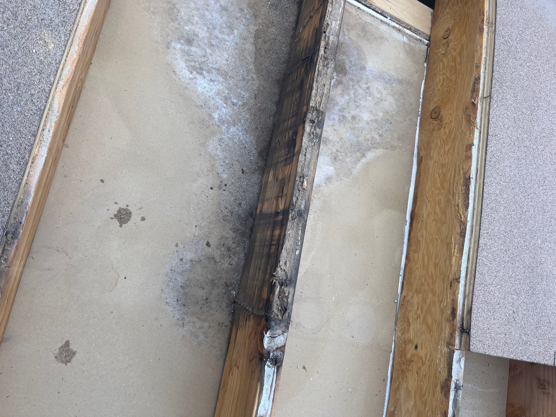 Modified Bitumen Membrane by Reimagine Roofing