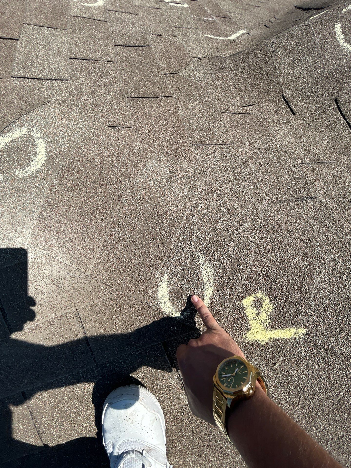 Miss Bridgette by REPS OF TEXAS