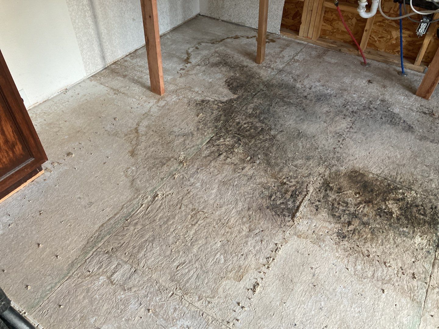Mold Remediation in Kitchen by Accountable Home Services