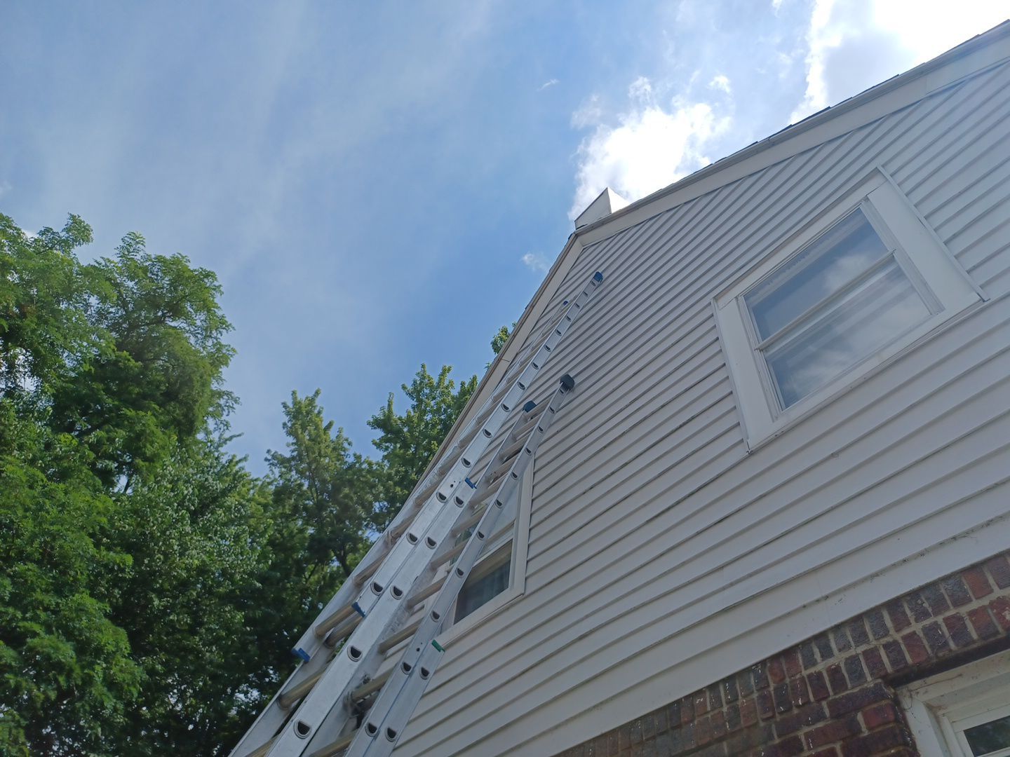 Mark Scanlan by Silver Leaf Contracting 