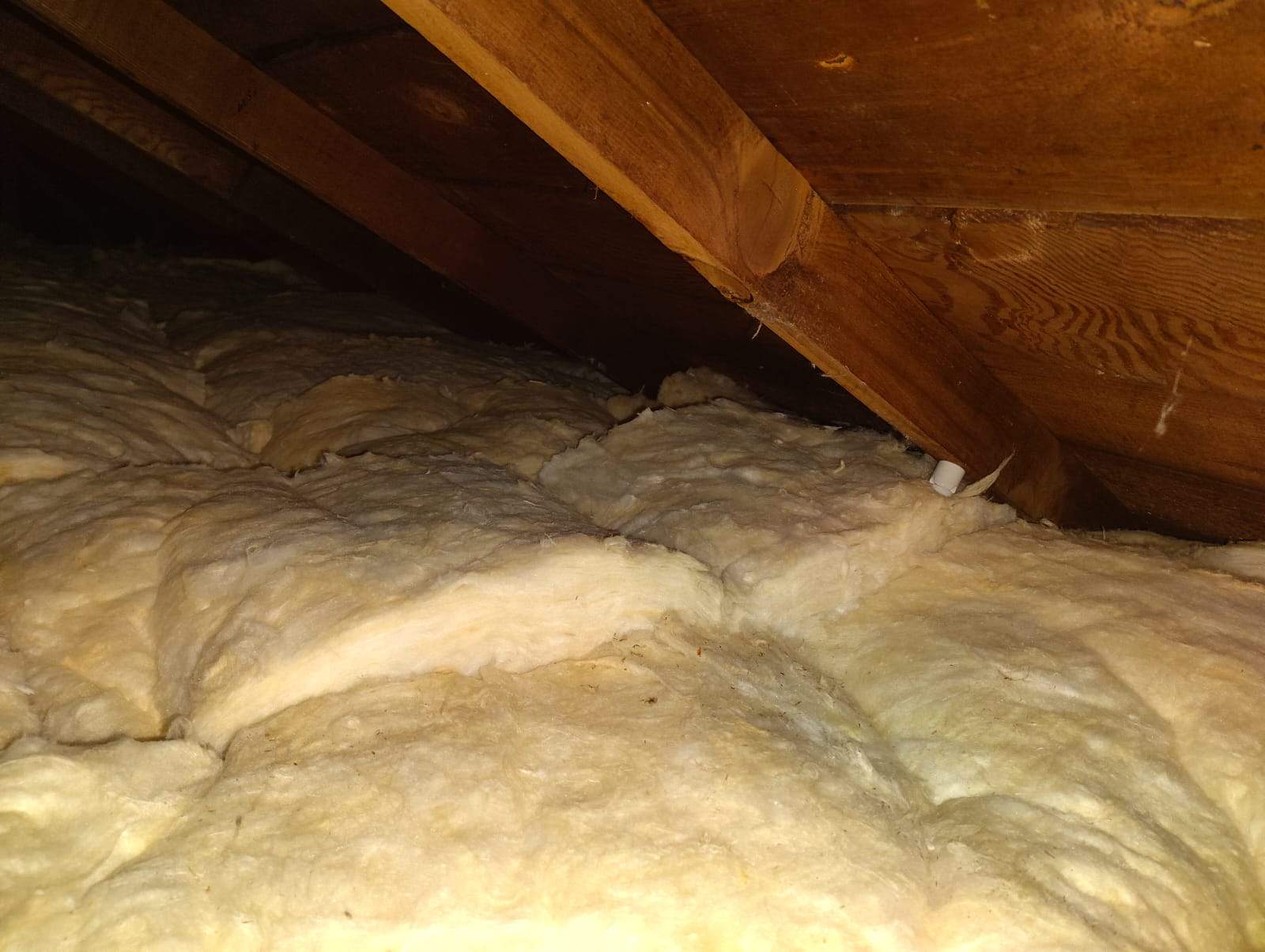 Project by Advanced Attic Solutions by Advanced Attic Solutions