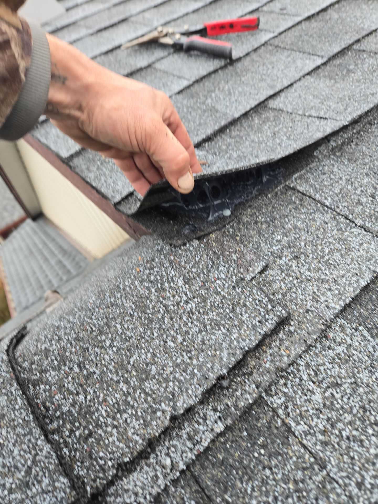Residential Reroof Shingle - Pewter Grey by Top Notch Roofing Inc