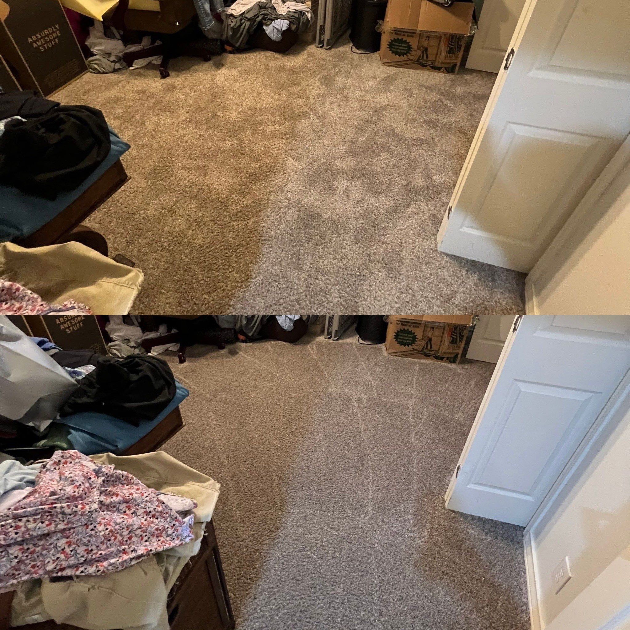 the service being done is carpet cleaning in a bedroom area showing before and after results of cleaner application