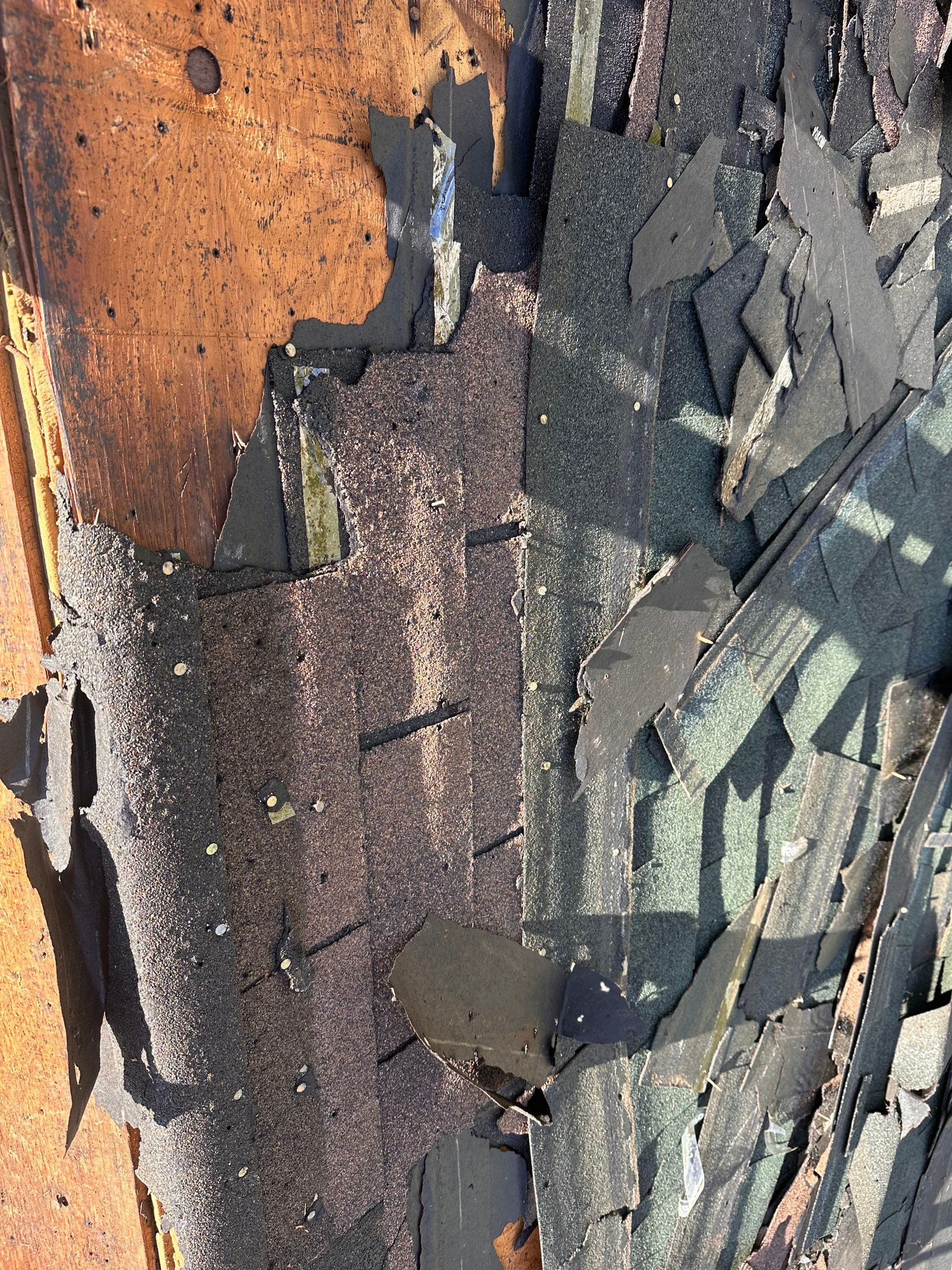 Green Architectural Asphalt Shingle Roof Replacement in Epsom by Tall pine roofing