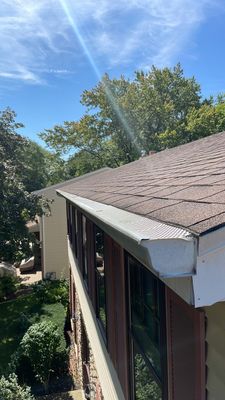 Turtle Shell gutter protection installation in Naperville, IL 60540, photograph 24