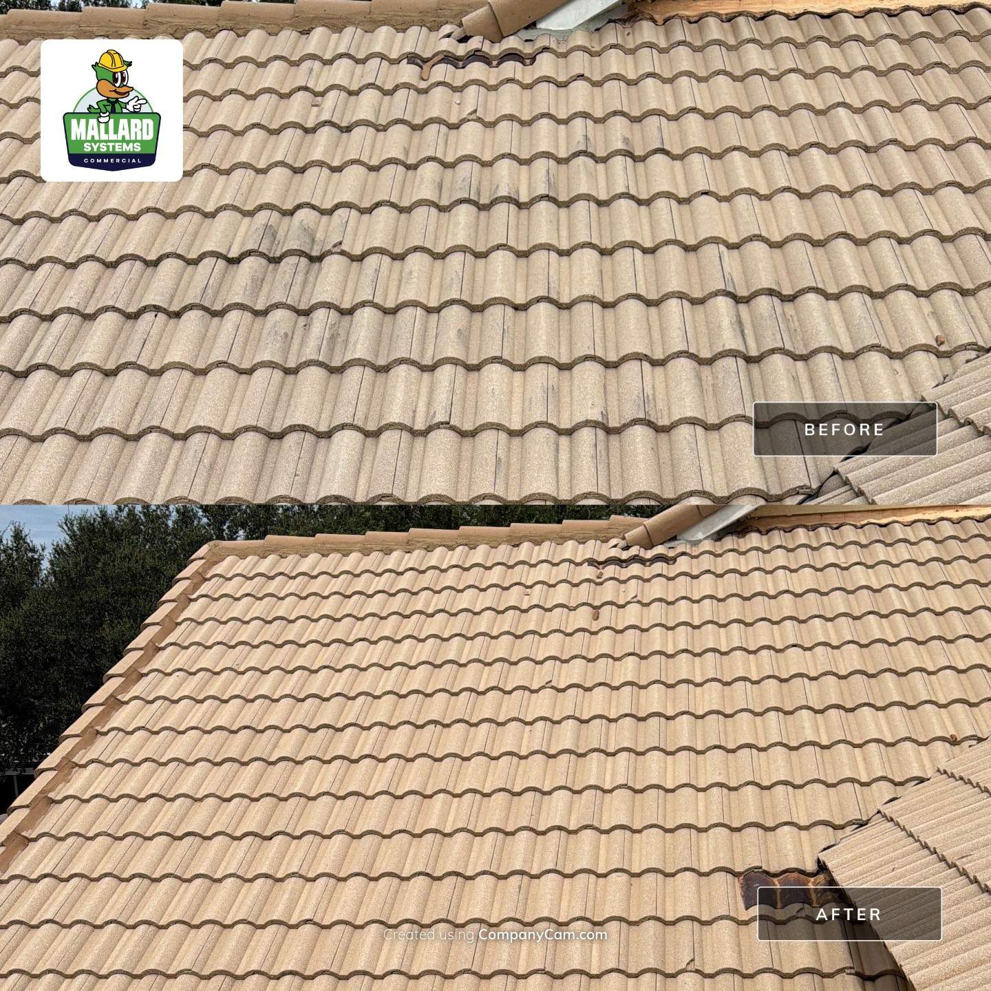 Full Exterior House Wash and Concrete Tile Roof Cleaning in Winter Garden by Mallard Systems
