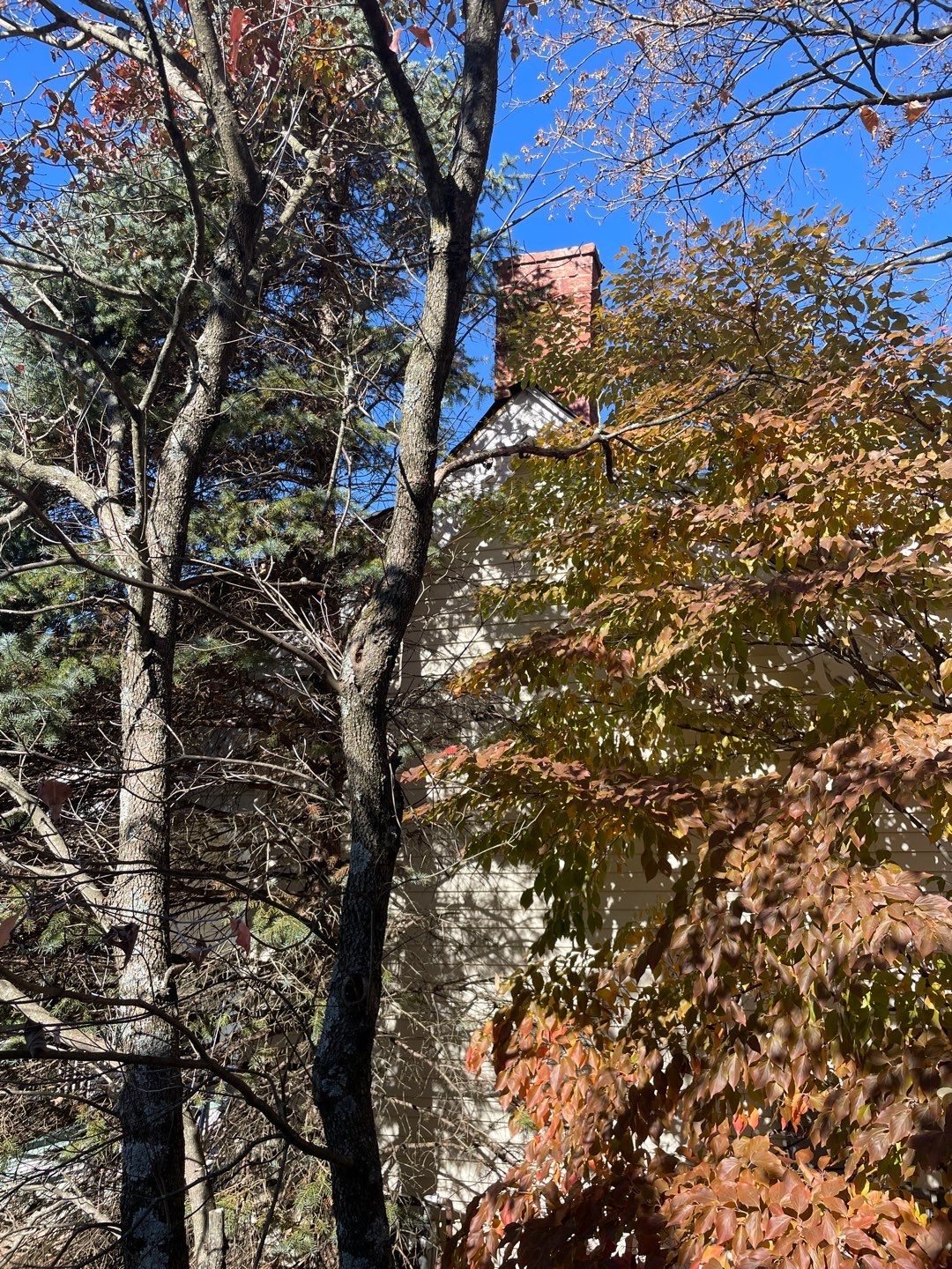 Residential Roofing and Siding Installation using Malarkey and Royal  by Storm Contracting 