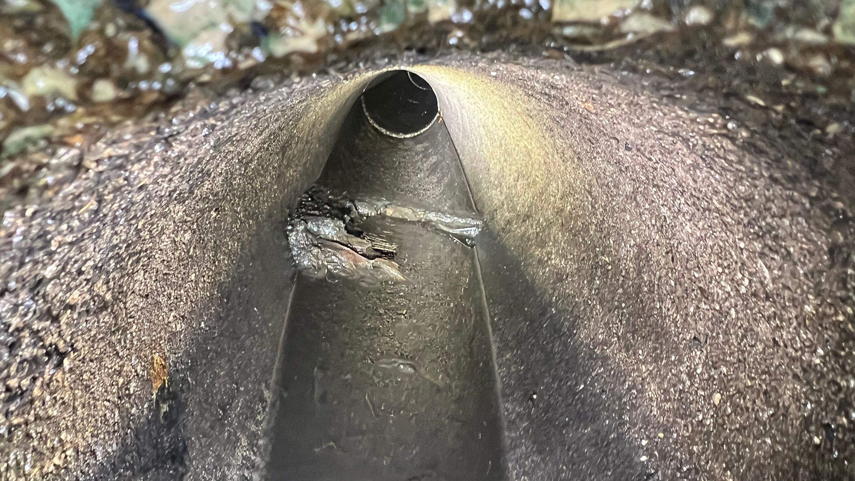 Stromwater System Maintenance at Bill Smith Appliances / Critter Cafe Marco Island Catch Basin by Don Mar, Inc. Storm Water Solutions