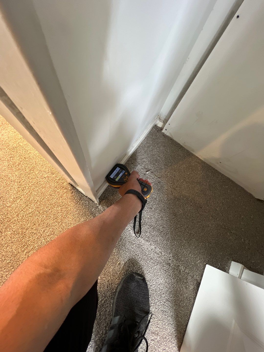 Project in Novi by EzDry Water Mitigation & Property Restoration