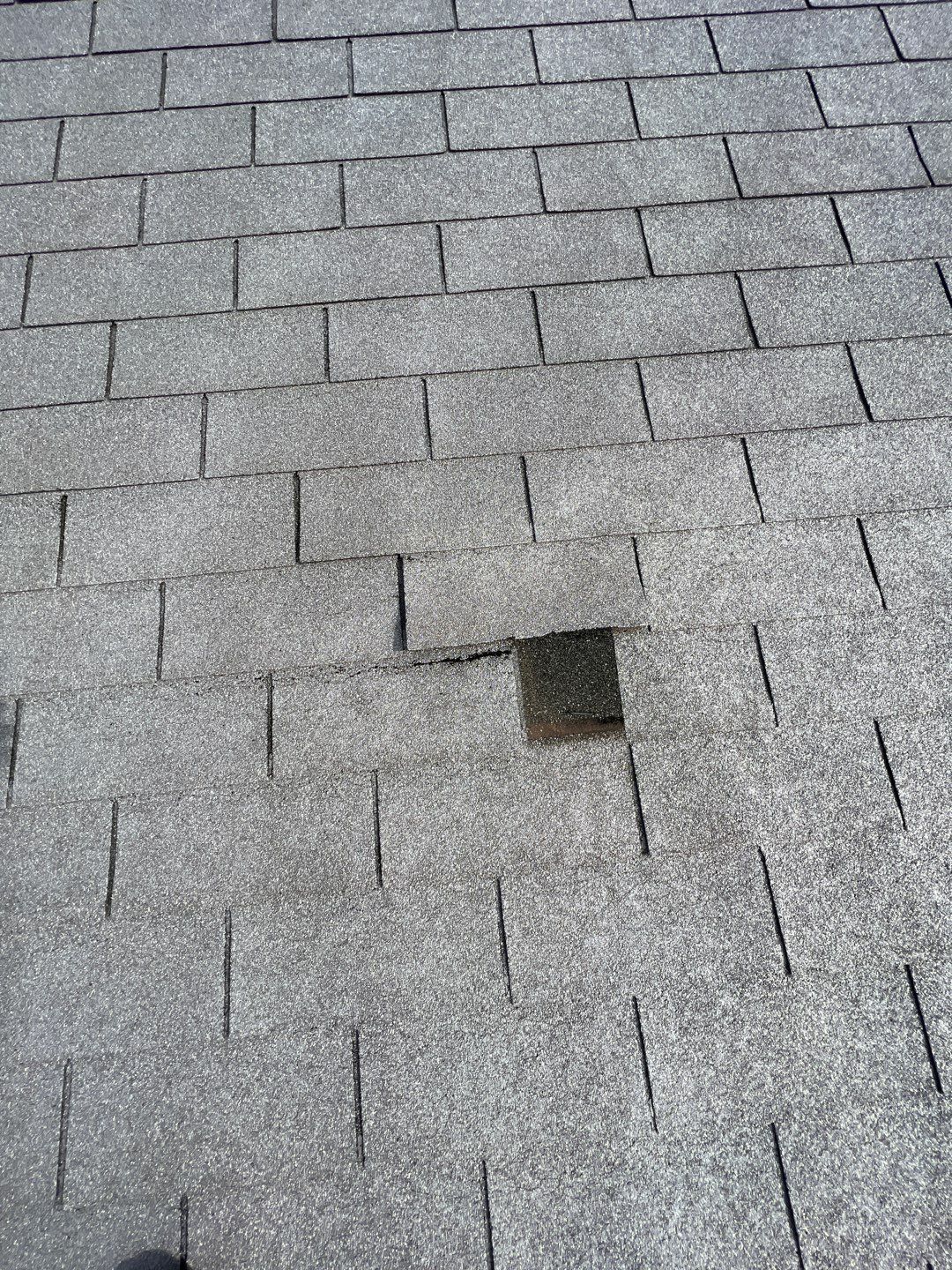 Lucy's  Full Re-roof by All Storm Roofing & Construction