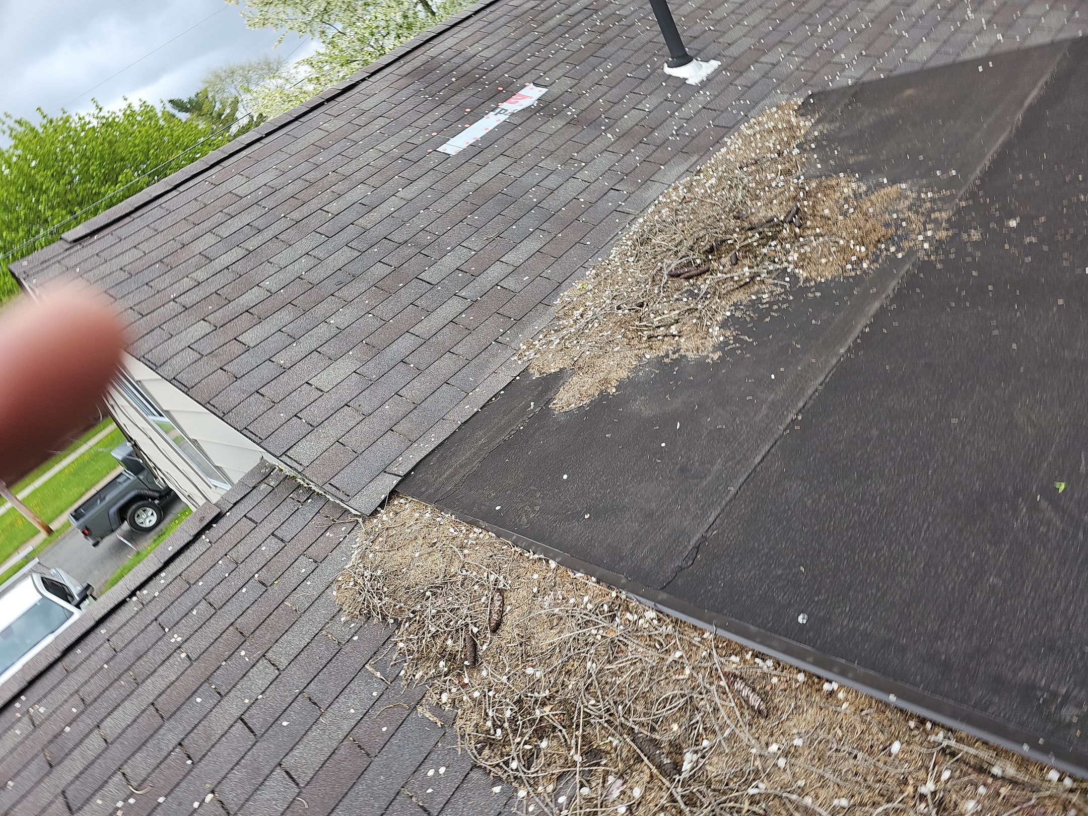 ATLAS PINNACLE COLOR: MORNING HARVEST by Eagle Eye Roofing