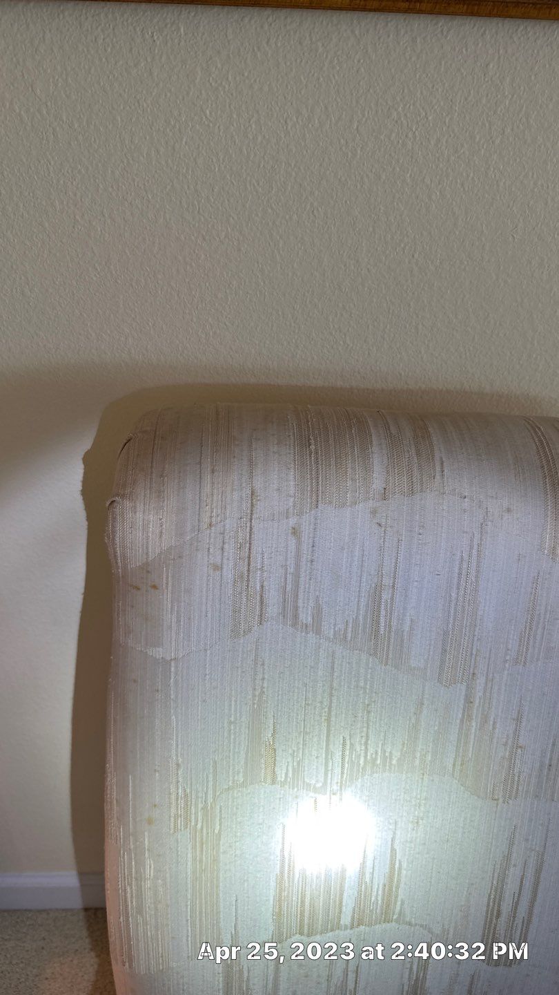 Humidity Bloom that caused mold to Grow by Building performance Solutions LLC