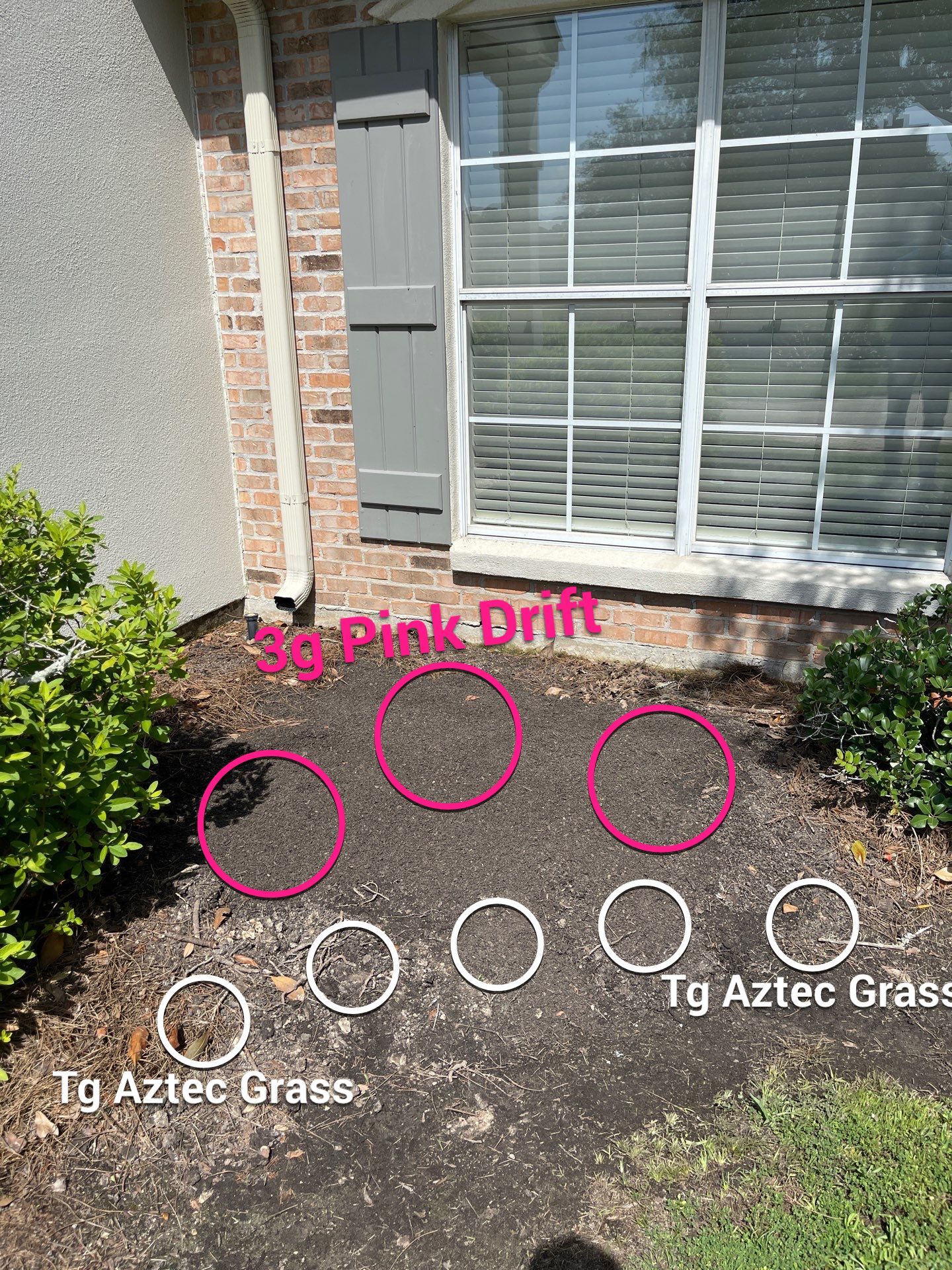 DEMO / BED PREP / CUT IN BED EDGES / MULCH INSTALL using BROWN MULCH "BARK BRITE" & ROAD ROCK by CutScape, LLC.