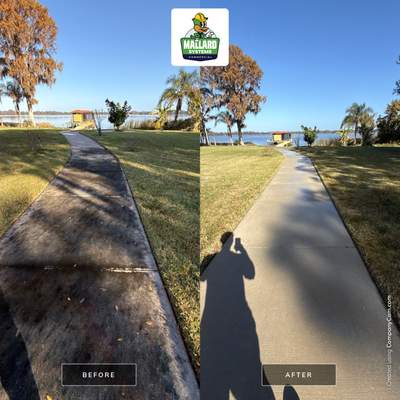 Driveway, Walkway, & Sidewalk Cleaning