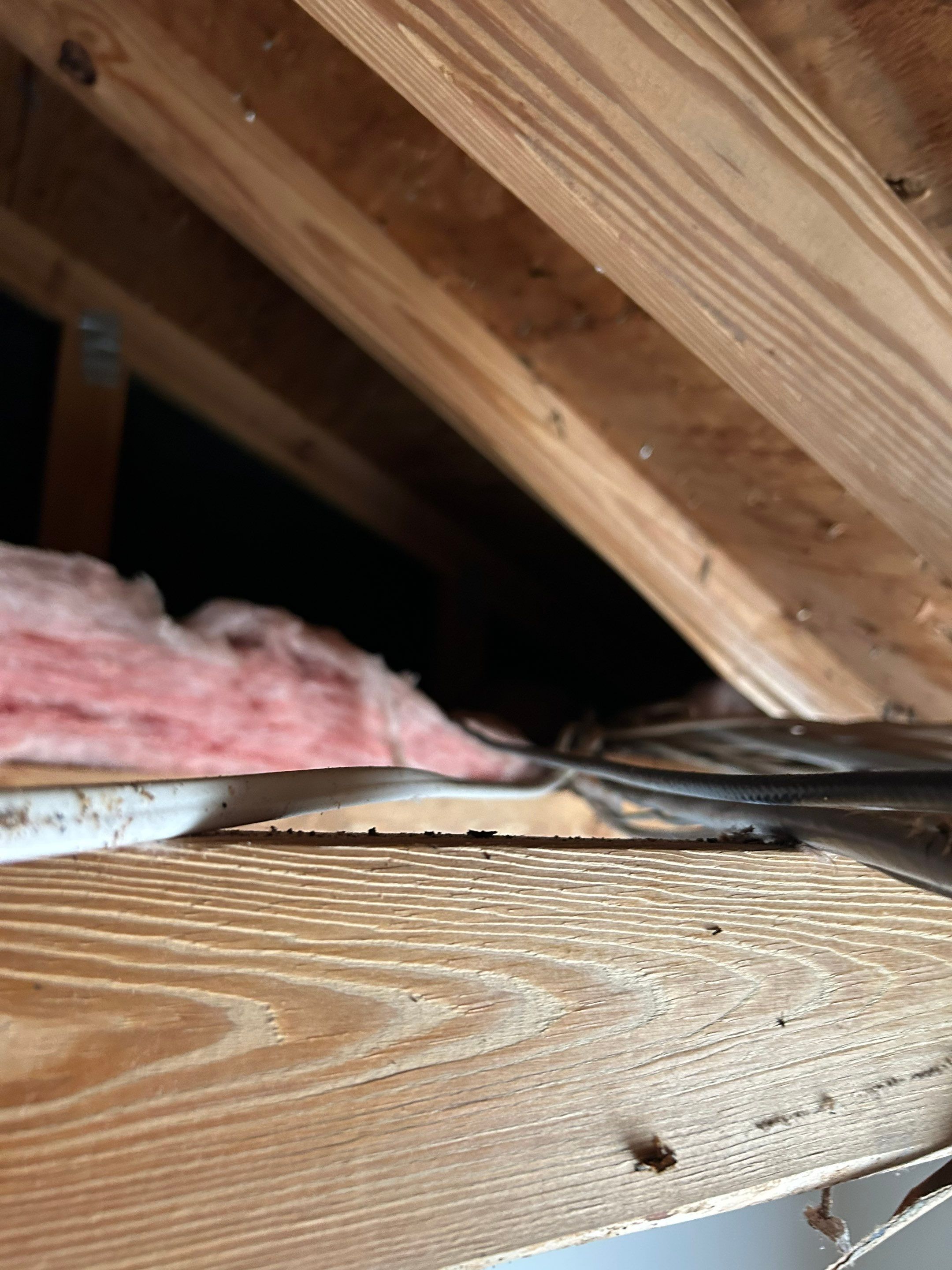 Project in North Port by Serene Construction