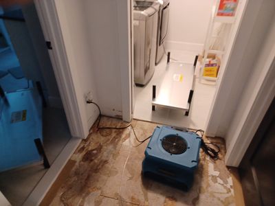Project in Troy