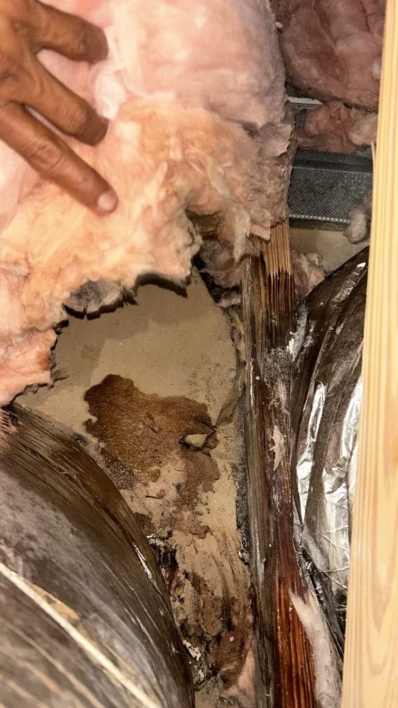 Nokomis Mold Remediation by Ampm Restoration Services