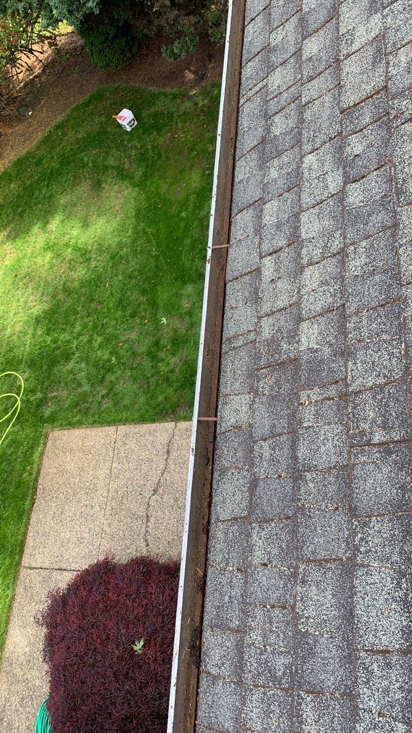 Softwashed in many Years back, and organic regrowth significant by DawnSky LLC