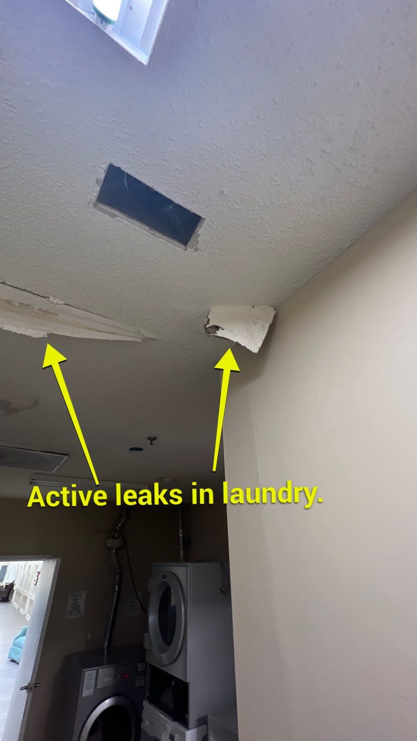 The Gardens of Rome by PC&D