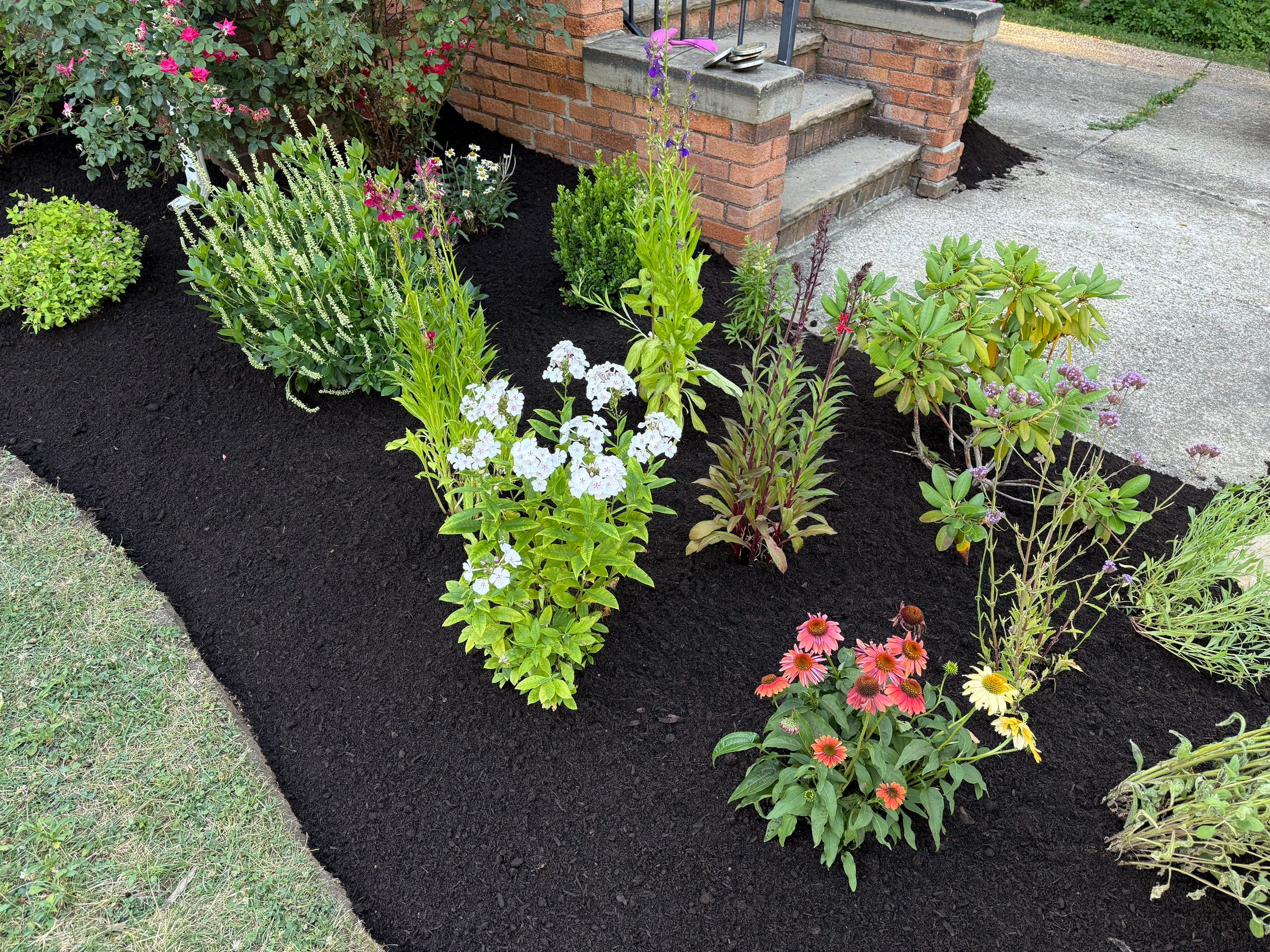 Tottenham Cottage Project by Elm Rose Gardens