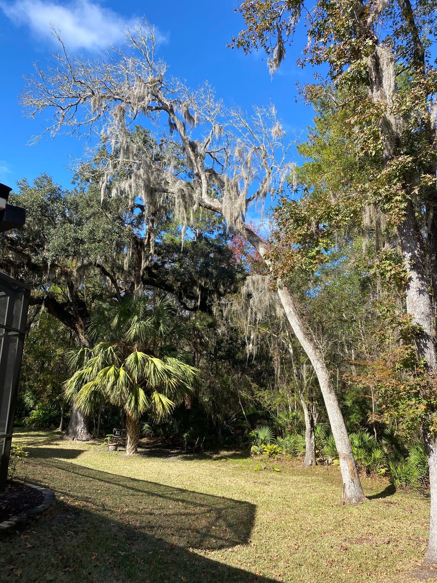 Residential | Tree Service by ProGreen Services