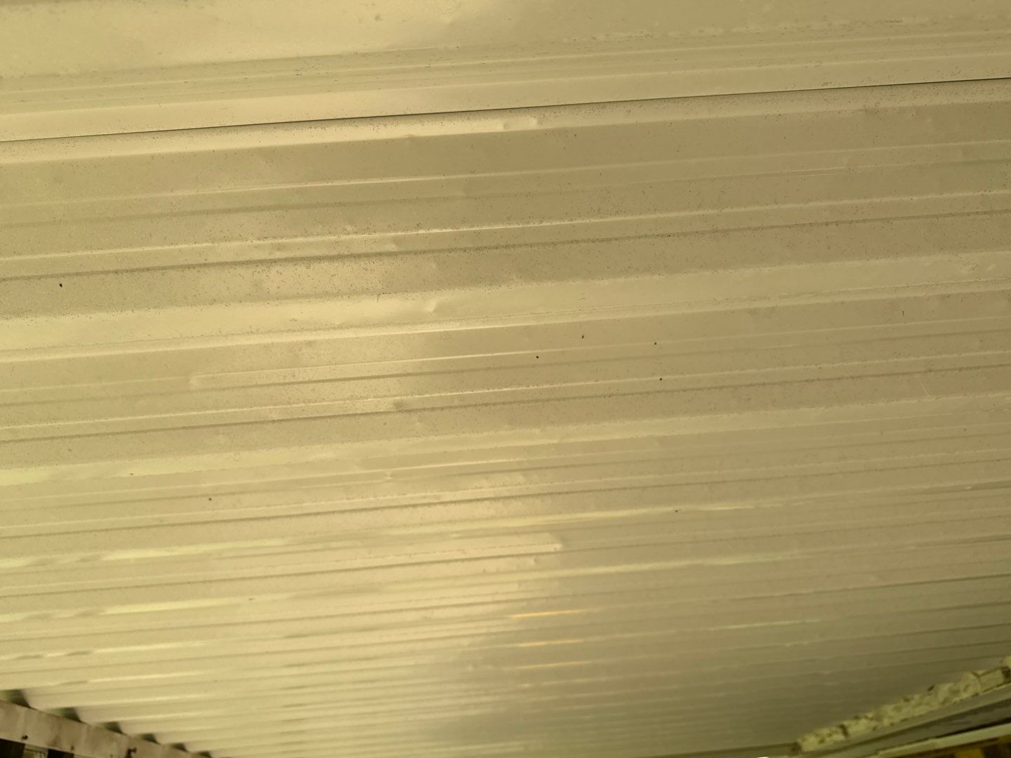 Campbell Storm Damage Report by Constructive Project Management