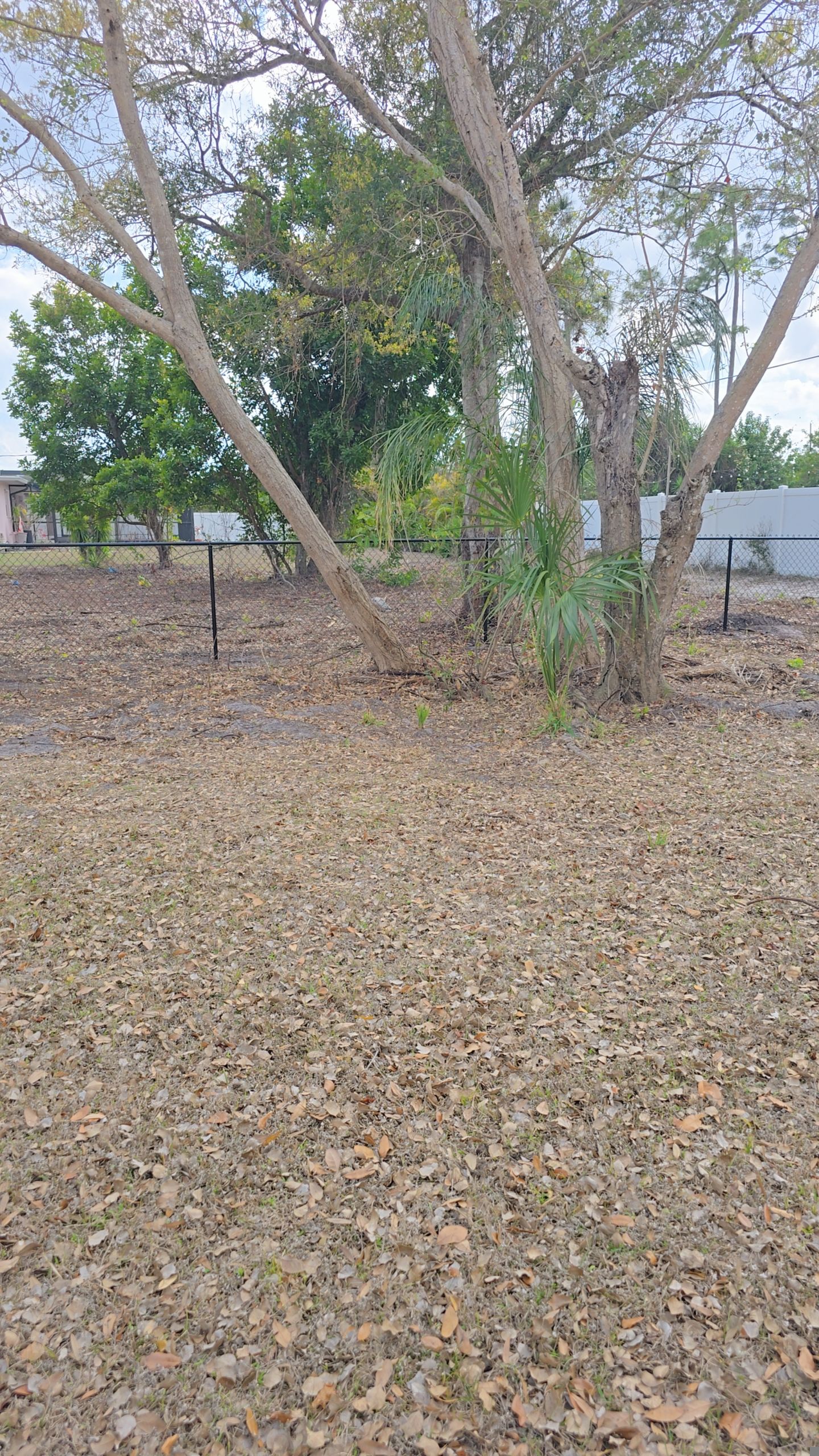 Chain Link Fence in Port Charlotte by True Fence LLC