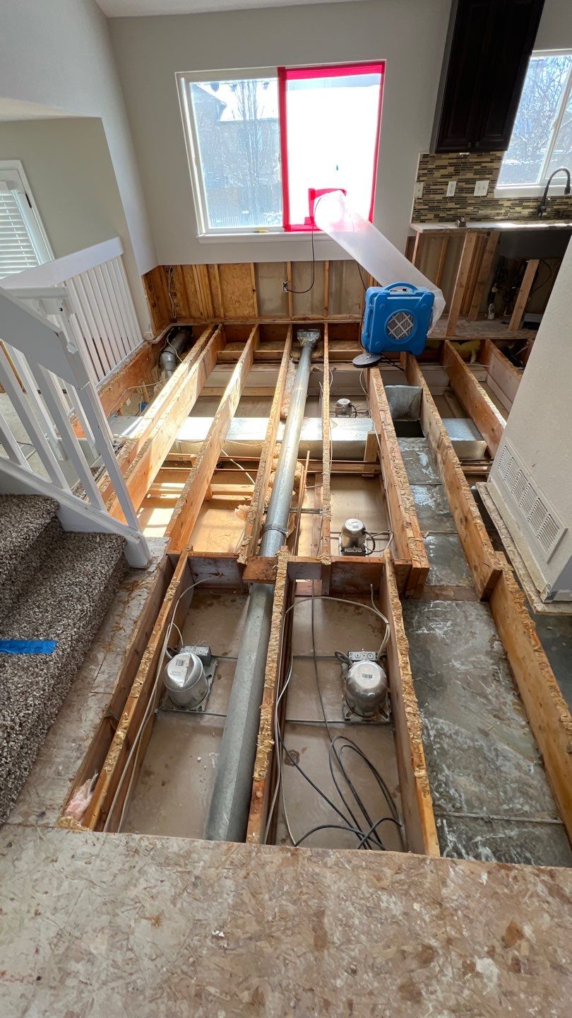 Mold Remediation by Accountable Home Services