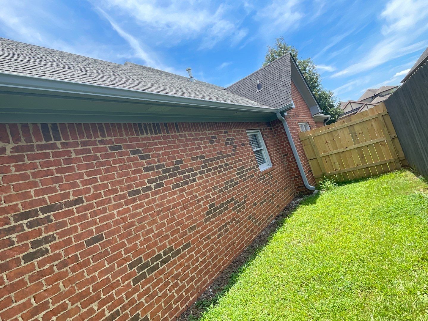 Downing Park - Paint by Pillar and Pine