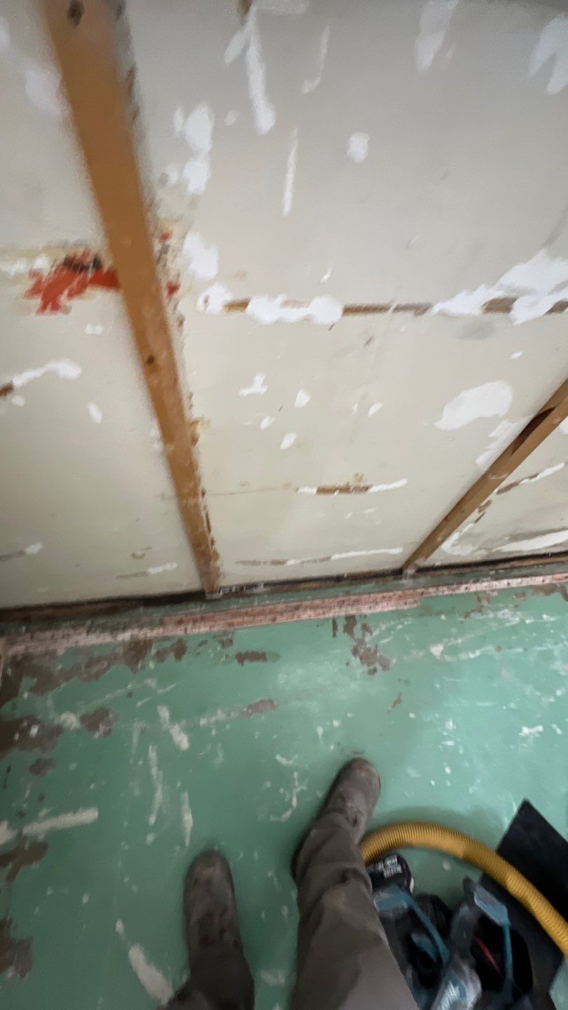 Mold Remediation by Accountable Home Services