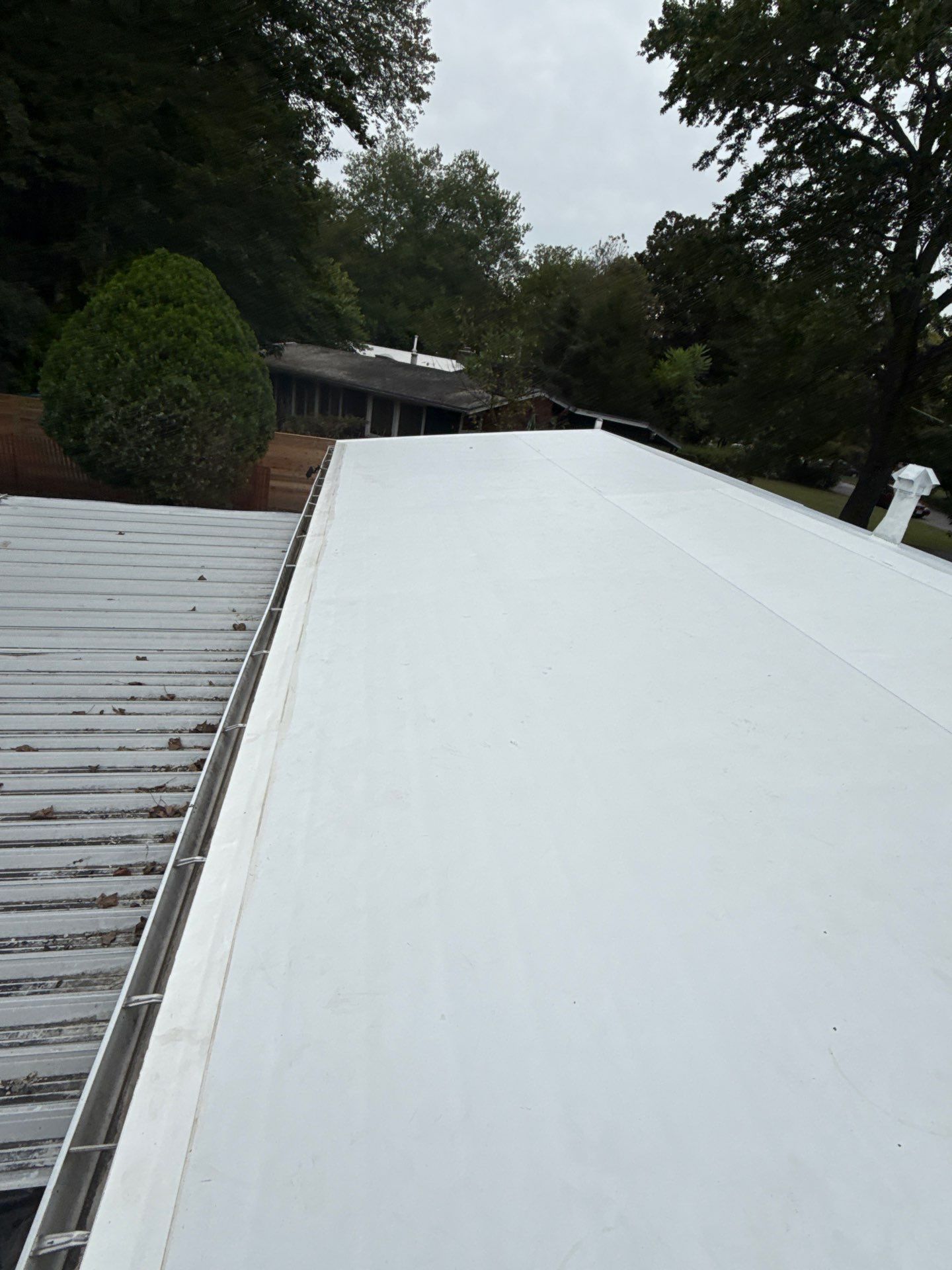 Falls Church :  TPO by RM Banning, Inc.