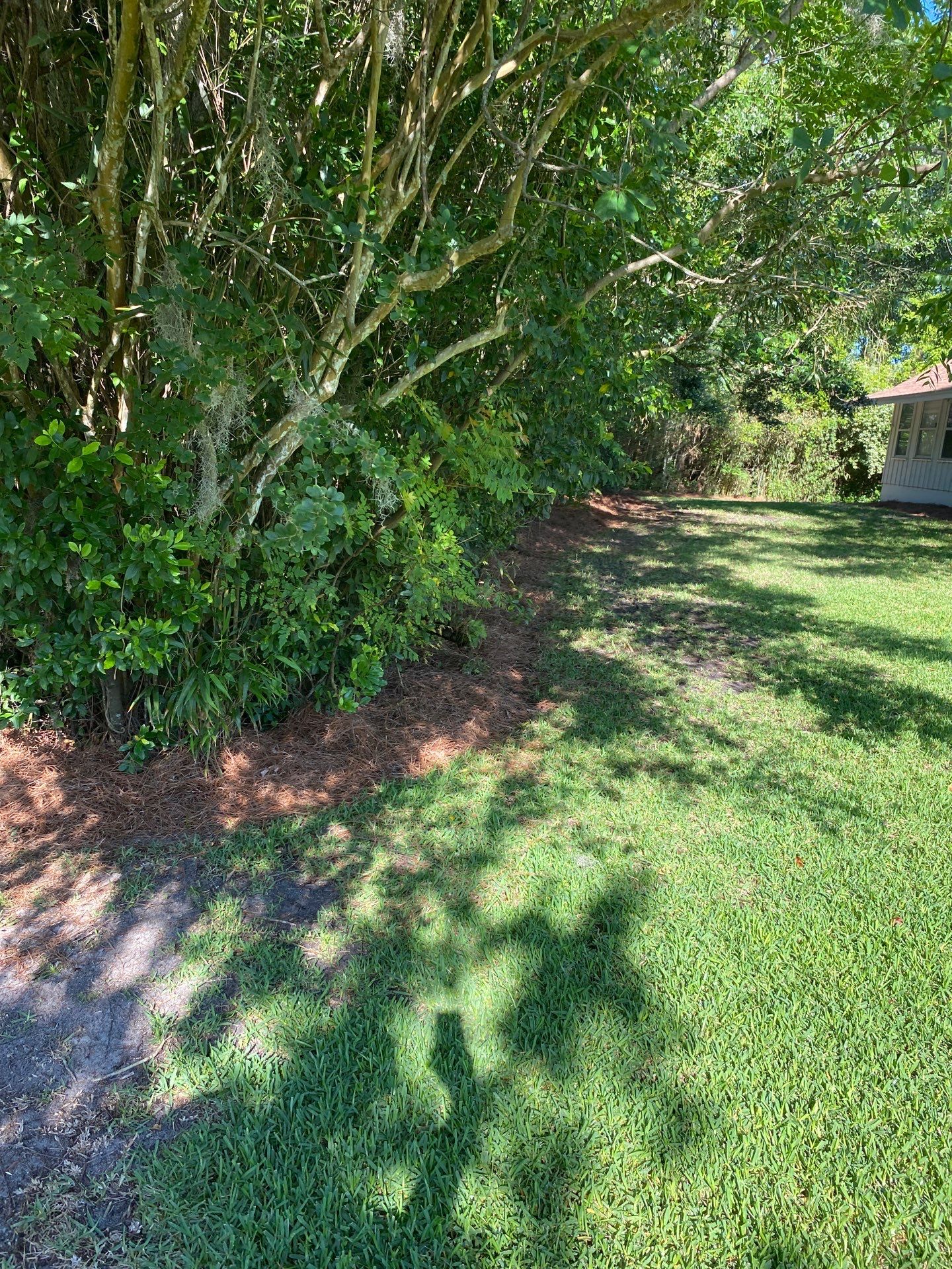 Deerwood Resident | Pine Straw & Topsoil Install by ProGreen Services