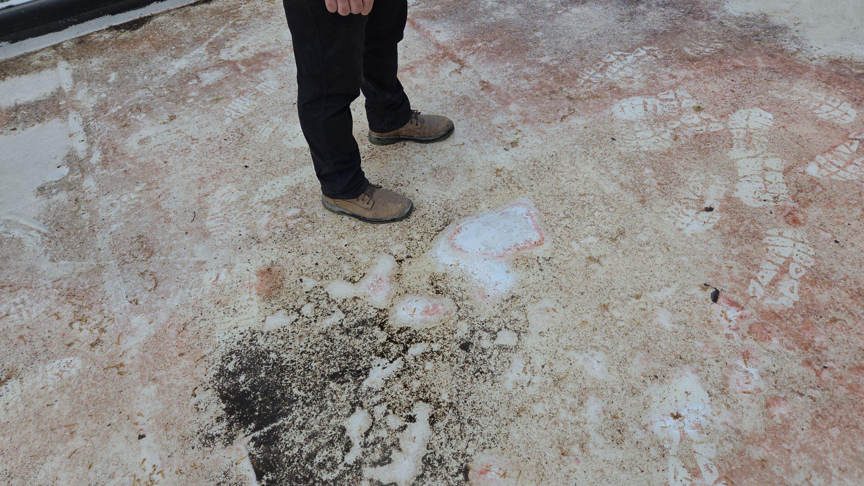 Residential Flat Roof Reconstruction & Substrate Repair by Level Up Roofing and Restoration Services LLC