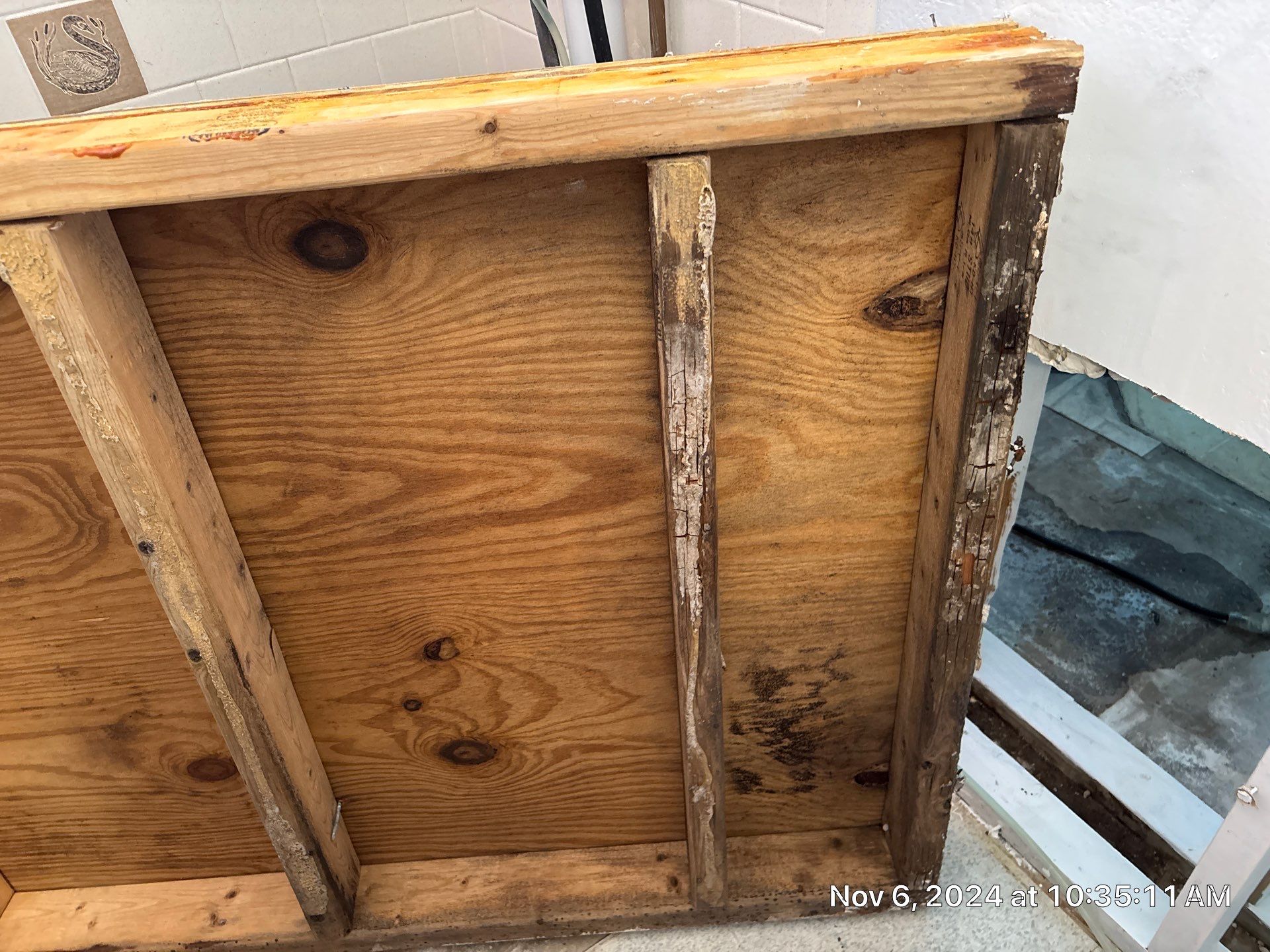 Mold Inspection by Ampm Restoration Services