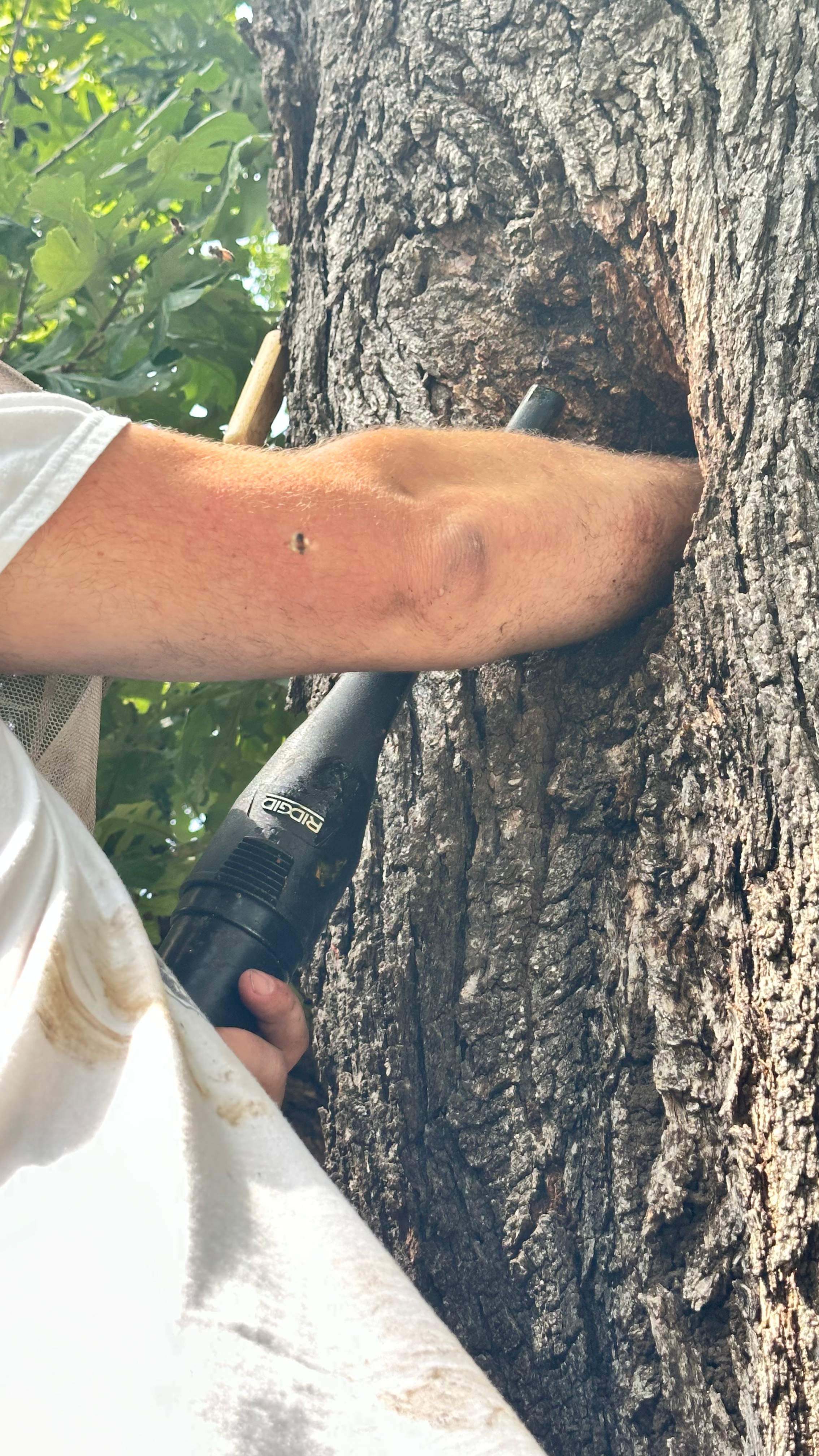 Tight Squeeze by Rockwall Honey Bee Company