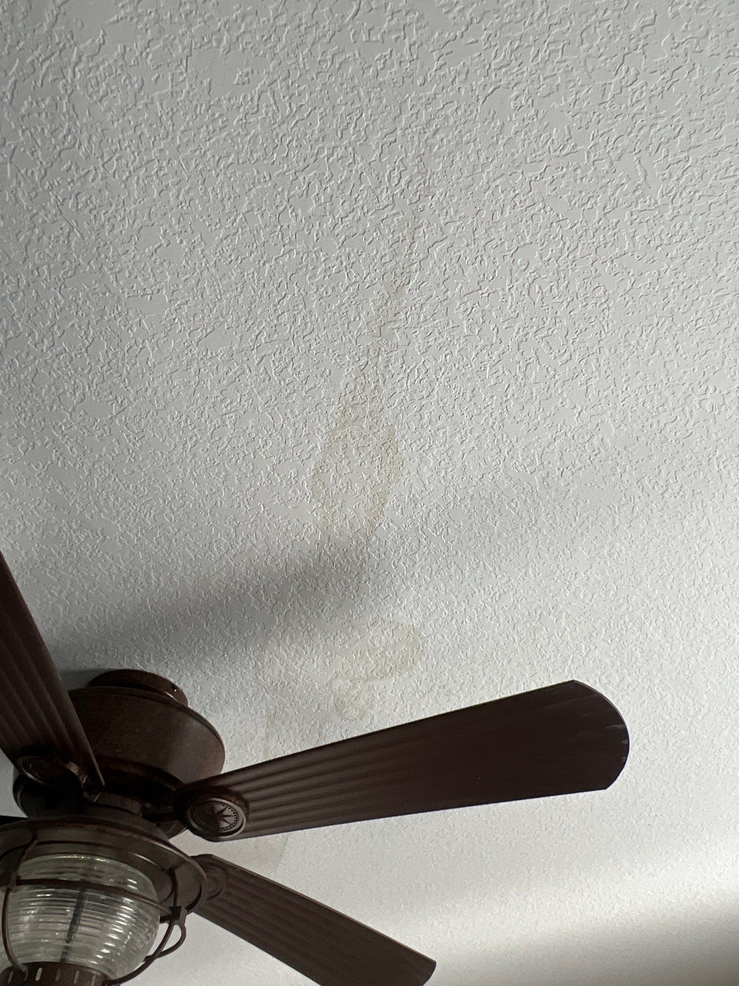 Interior Painting - Realtor project  by Rodriguez Drywall And Paint 