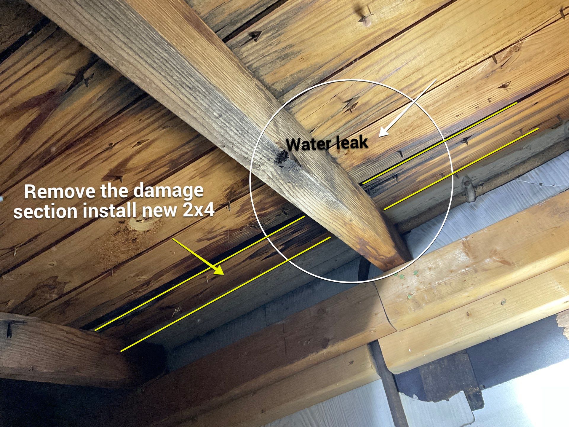 Roof Repair  by Alpha Design Services