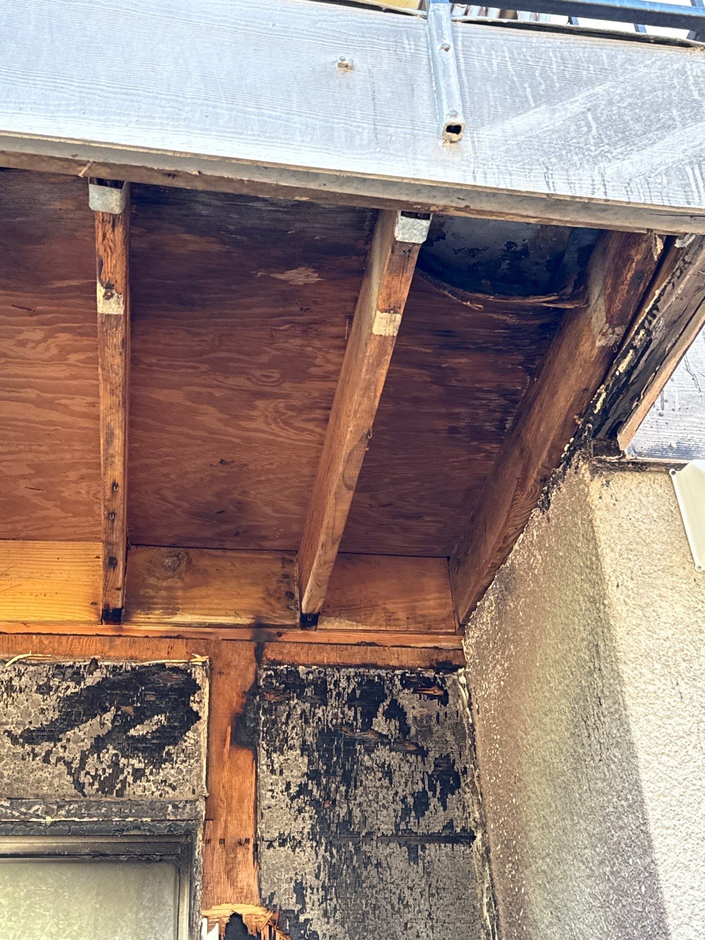 Glen rose by American Builders 