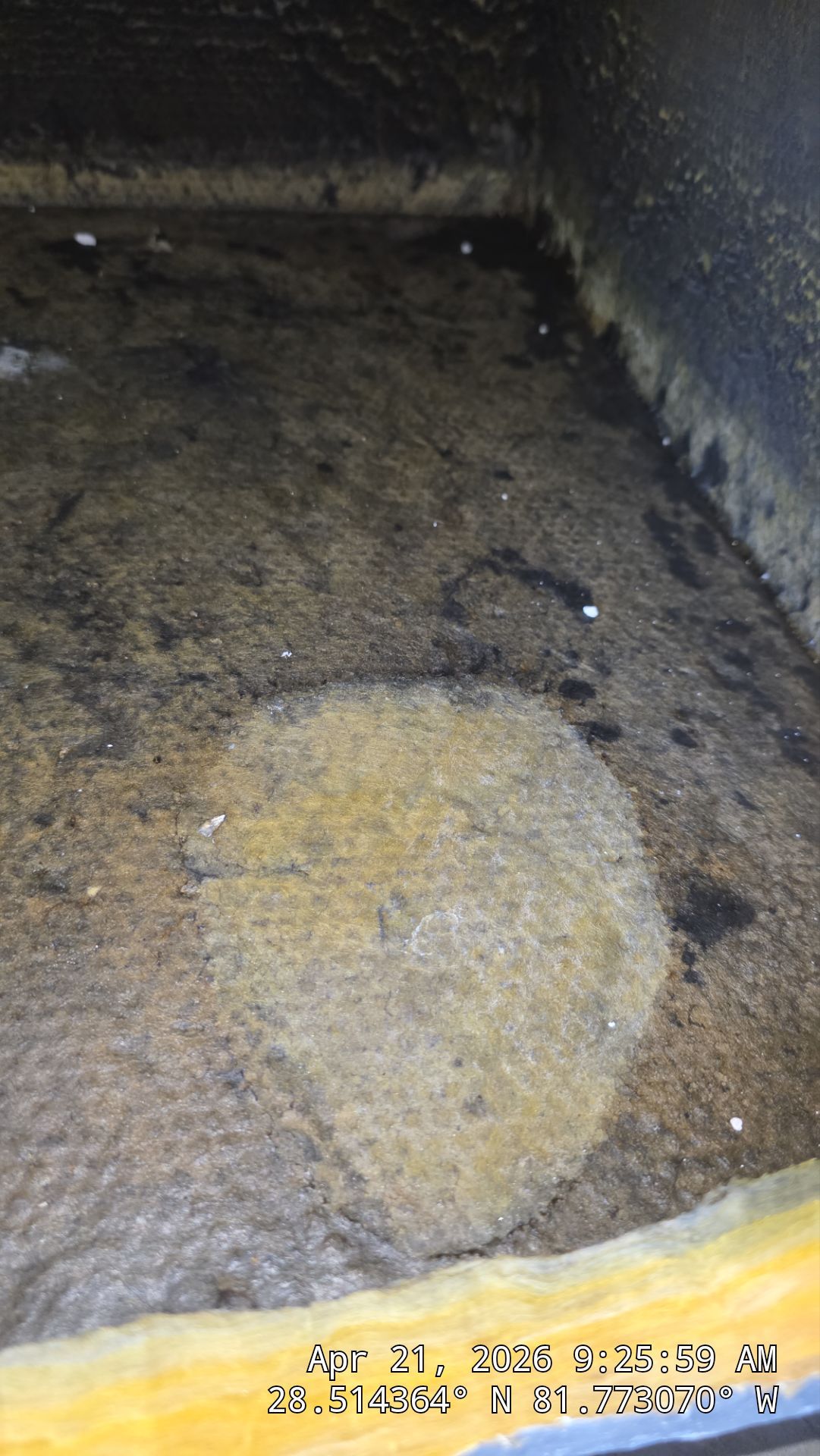 AIr Duct Cleaning in Clermont by Hygienic Air, Inc