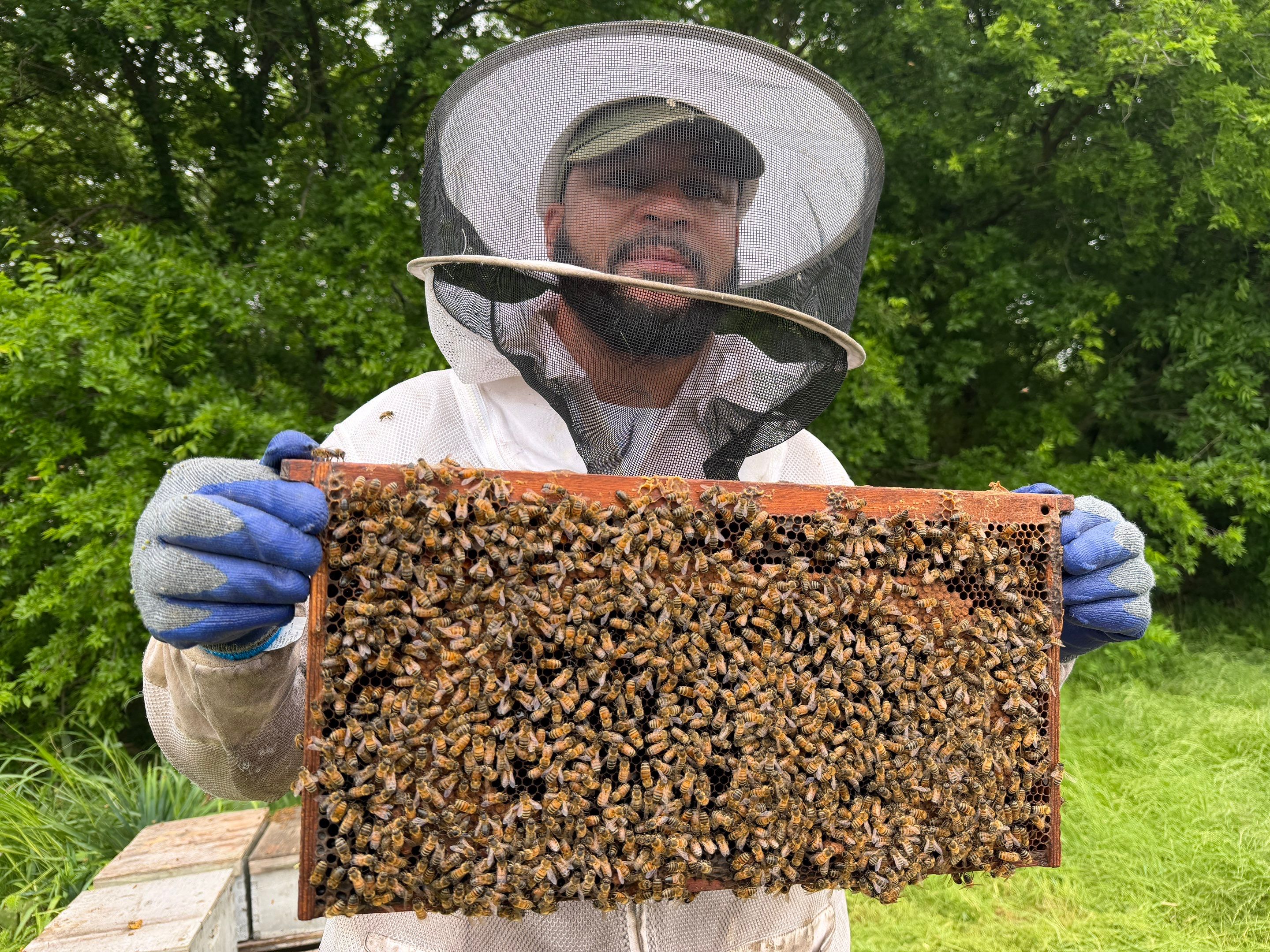 Special Use Valuation in McClendon-Chisolm by Rockwall Honey Bee Company