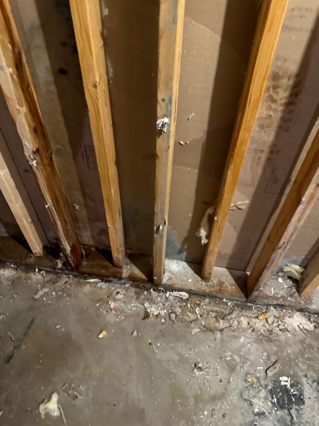 Project in Commerce Charter Twp by EzDry Water Mitigation & Property Restoration