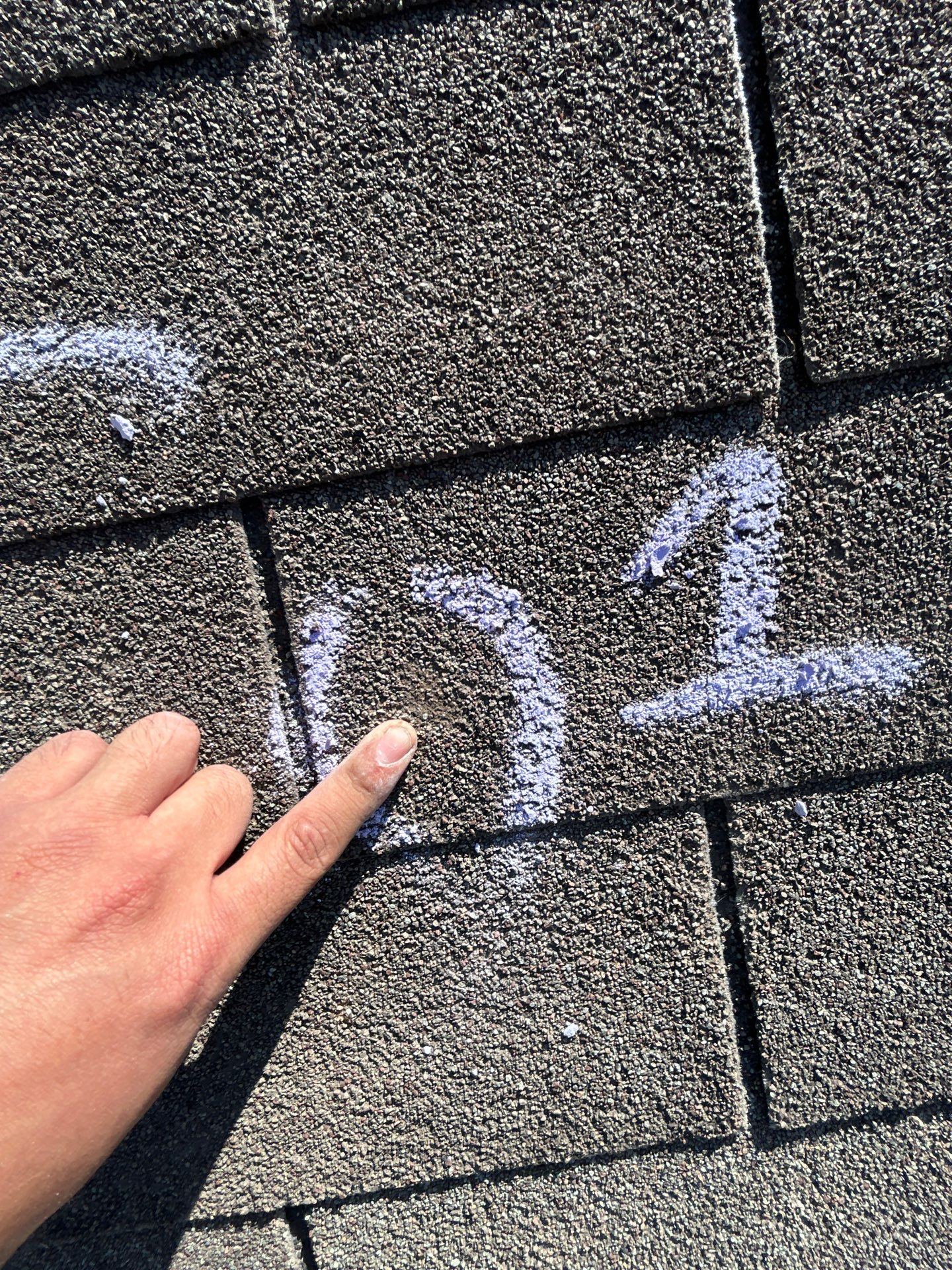 Miss Bridgette by REPS OF TEXAS