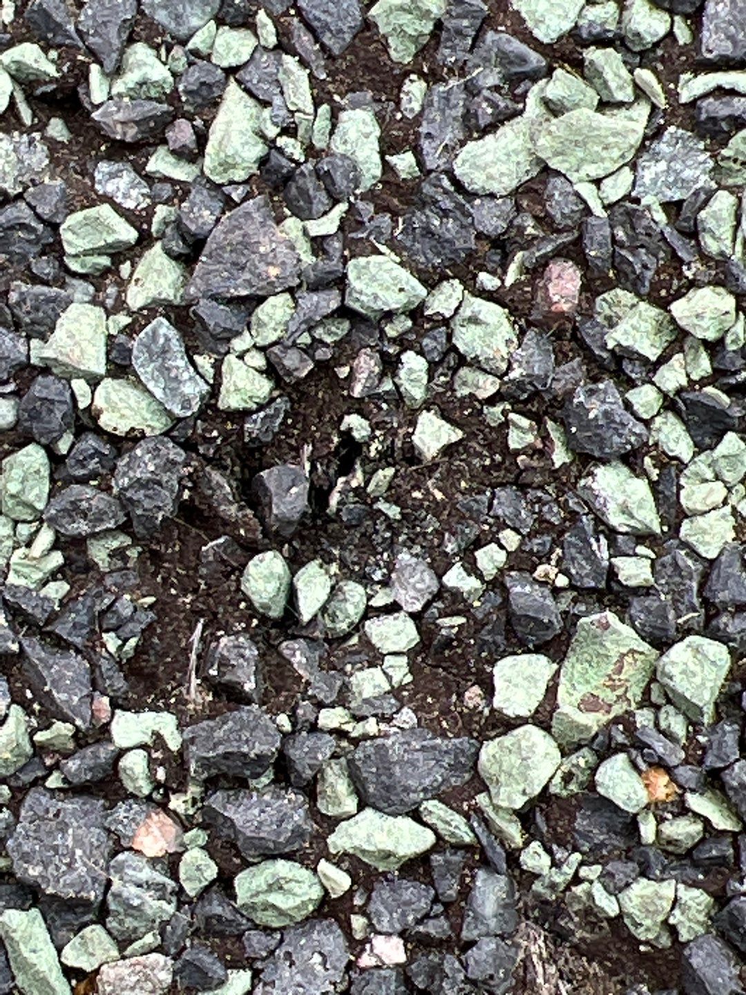 Residential Roofing Installation using Owens Corning by WIW Enterprises Inc