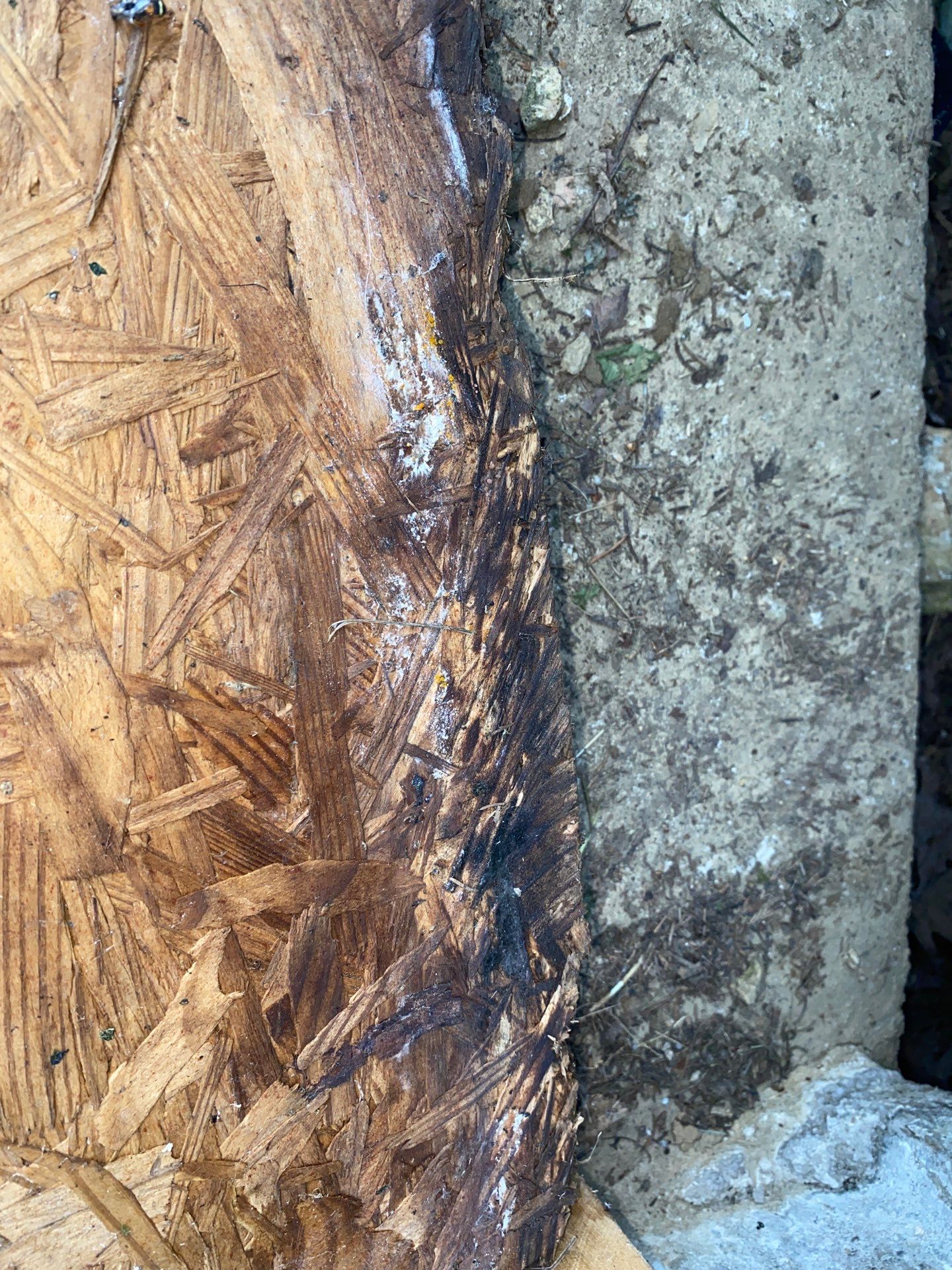 Remediate mold in crawlspace of Mingo Junction Ohio home. by Home Environment Solutions